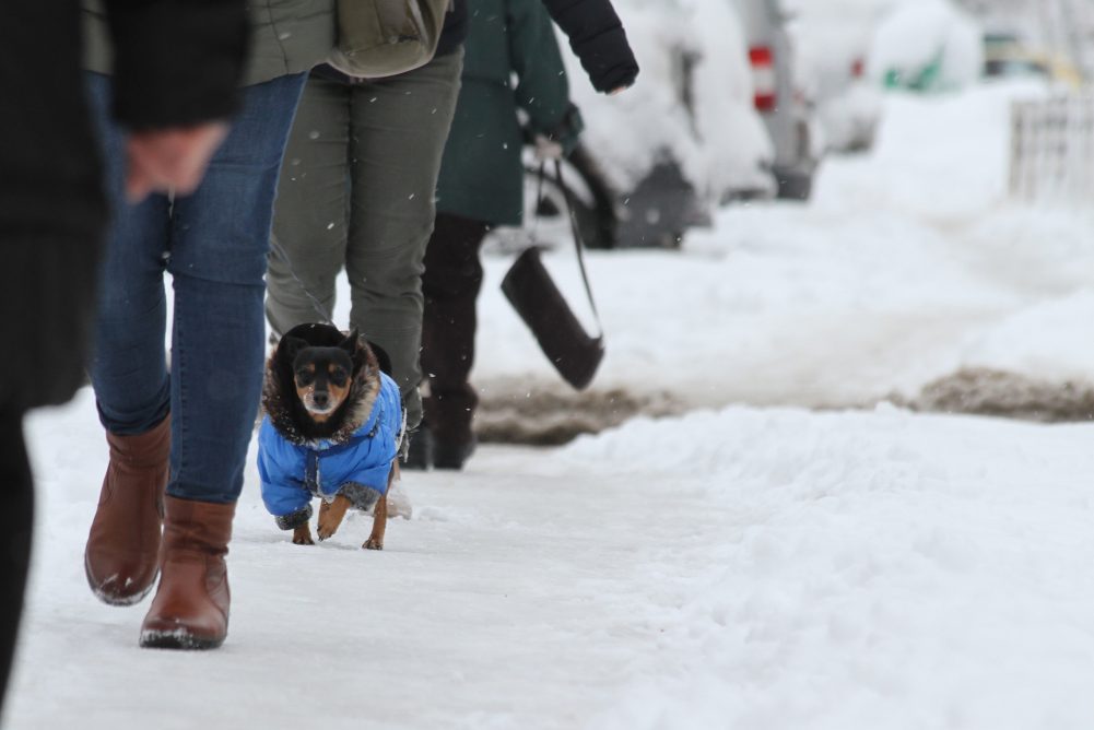 5 tips for pedestrians to remember during the winter