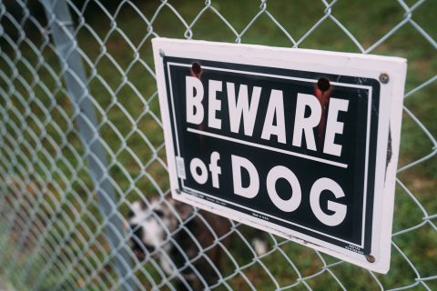 Dog owner liability for bites in Illinois